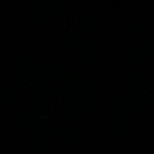 Meet your Posher, Eileen